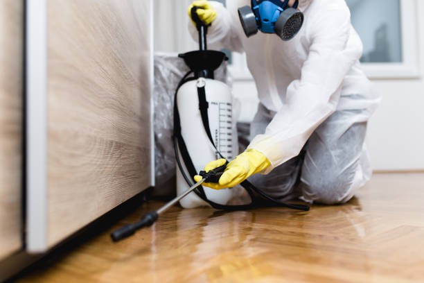 Best Ant Control Services  in Ke Arthur, LA
