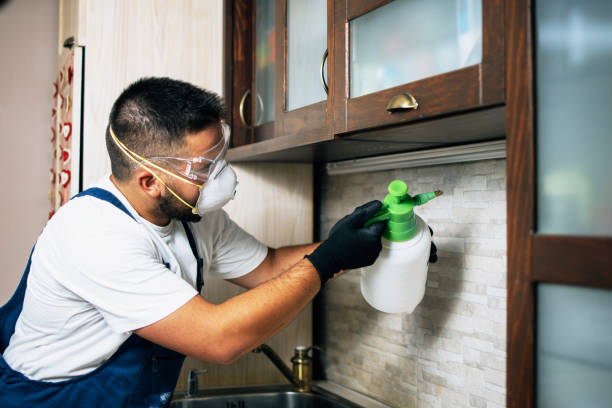 Professional Pest Control in Lake Arthur, LA