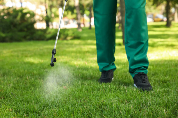 Best Emergency Pest Control  in Ke Arthur, LA