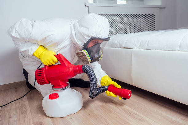 Best Bed Bug Extermination  in Ke Arthur, LA