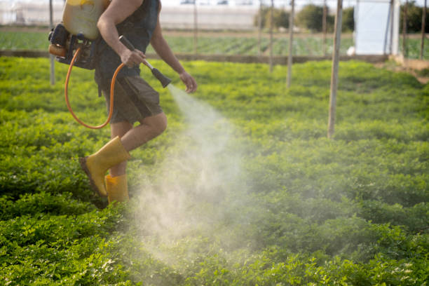 Best Commercial Pest Control Services  in Ke Arthur, LA