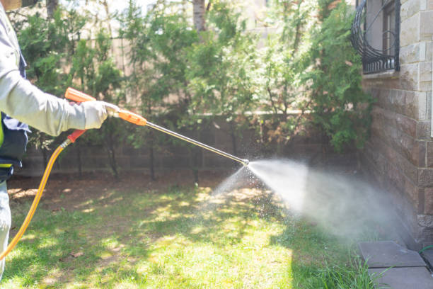 Best Mosquito Control Services  in Ke Arthur, LA