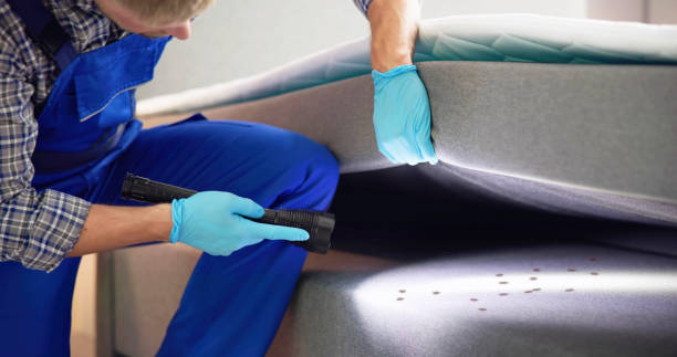 Best Termite Control Services  in Ke Arthur, LA