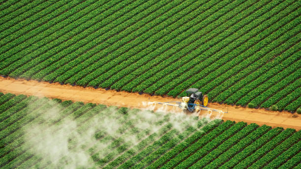Best Pest Inspection Near Me  in Ke Arthur, LA