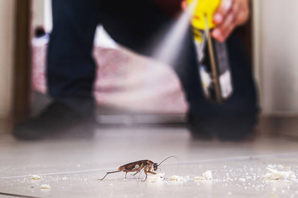 Trusted Lake Arthur, LA Pest Control Experts