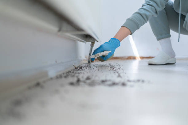 Best Mosquito Control Services  in Ke Arthur, LA